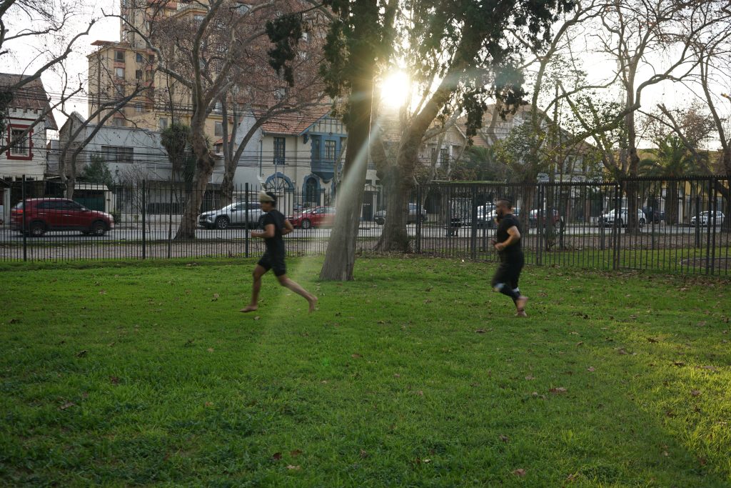 DSC01153-1024x683